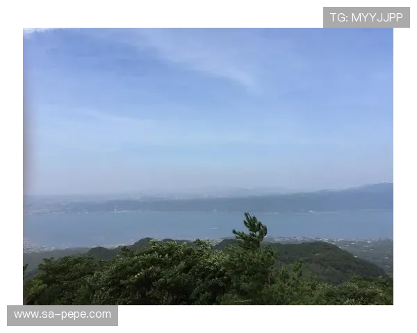 见木友哉绝杀福冈险胜广岛